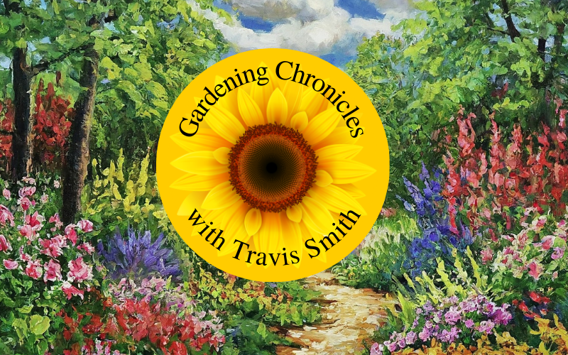Gardening Chronicles with Travis Smith - Edition One