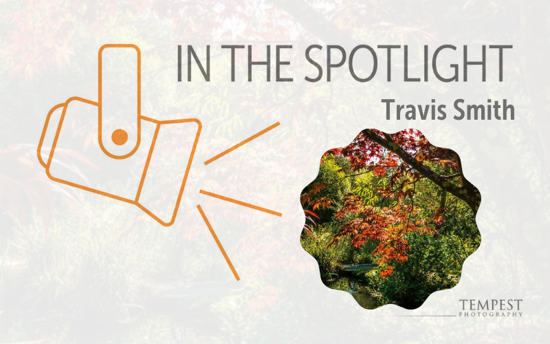 In The Spotlight - Travis Smith